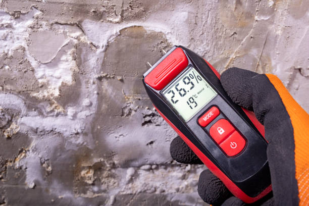 Best Certified Mold Removal  in Montgomery, AL