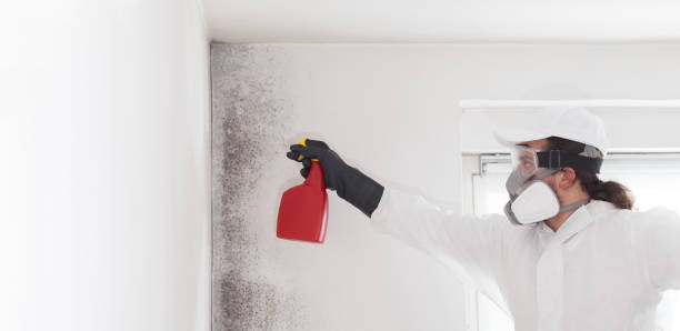 Best Home Mold Removal  in Montgomery, AL