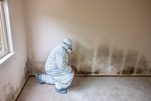 Best Office Mold Removal Services  in Montgomery, AL