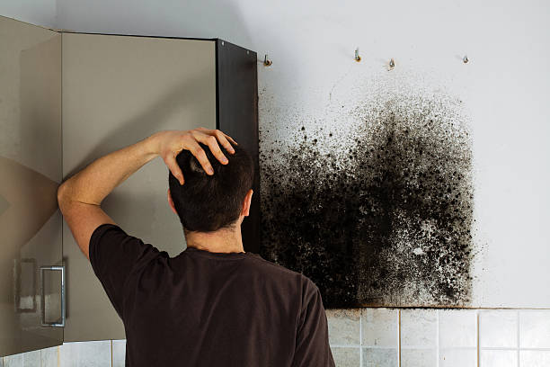 Best Attic Mold Removal  in Montgomery, AL