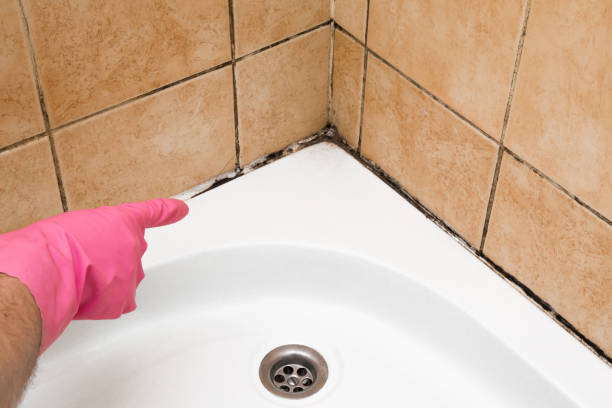 Best Fast Mold Removal  in Montgomery, AL
